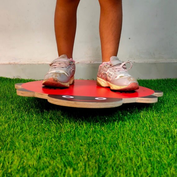 3D Ladybug Balancing Board - Image 3