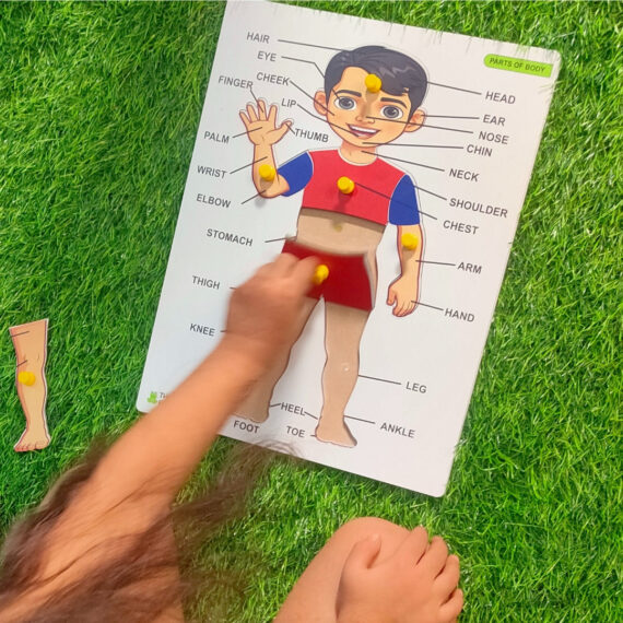 3D Human Body Part Wooden Puzzle - Image 3