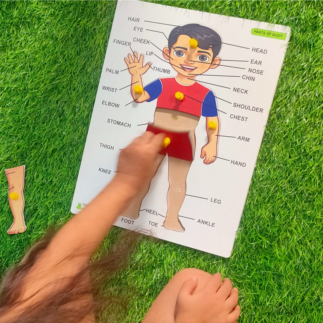 3D Human Body Part Wooden Puzzle - Image 3
